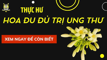 Bác sĩ Cảnh Báo: HOA ĐU ĐỦ NGÂM MẬT ONG CỰC ĐỘC,Dùng Đúng Cách DIỆT U.NG TH.Ư Trong Người