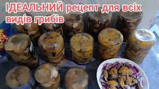 видео: МАРИНОВАНІ БІЛІ ГРИБИ 🍄🟫 Ідеальний рецепт маринаду для всіх видів грибів КОНСЕРВОВАНІ ГРИБИ НА ЗИМУ картинка: МАРИНОВАНІ БІЛІ ГРИБИ 🍄🟫 Ідеальний рецепт маринаду для всіх видів грибів КОНСЕРВОВАНІ ГРИБИ НА ЗИМУ