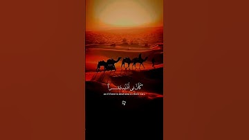 استخدموا الصوت 🖤🙂 #quran #اكسبلور #لايك #تلاوة_هادئة #راحة_نفسية #قرآن #قرآن #بدر_التركي
