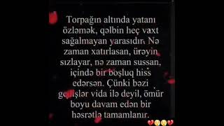 #shorts #shortvideo #cennetbahcesi #love #foryou #ehlibeyt #313 #youtubeshorts #qardaş #trending #fy