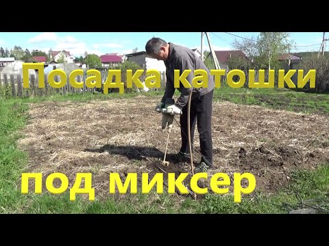 Посадка картошки под миксер и в грядку Розума