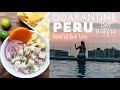 Trying Peruvian Beer, Wine and Ceviche in Quarantine // Day 8 in Lima Peru