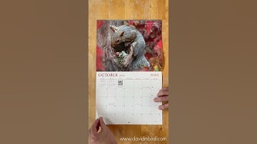 Becorn Calendar 2026