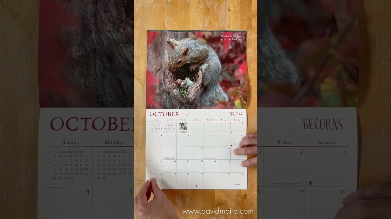 Календарь Бекорна 2026