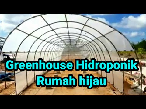 Manfaat Greenhouse Hidroponik atau rumah hijau.