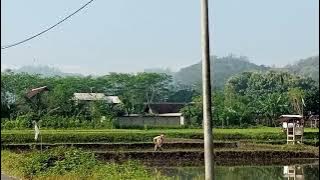 Pemandangan Bukit Bunda - KADEMANGAN - BLITAR