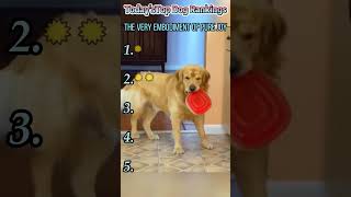 #funny #funnyvideo #fyp #foryou #dog #comedy #interesting Funny Dog Compilation.Manic laughter—haha!