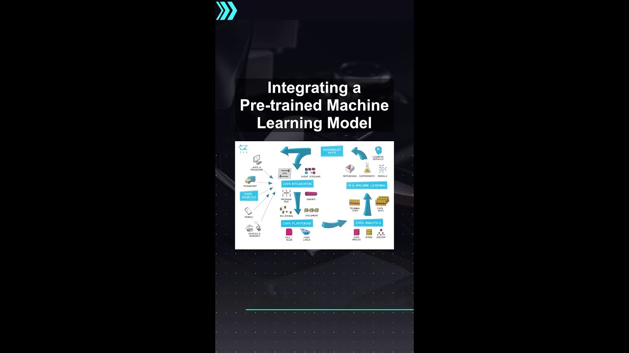 Integrating a Pre-trained Machine Learning Model 