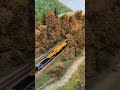 141r UM with some japanese rolling stock #kato #train #nscale #arnold #steam #tomix