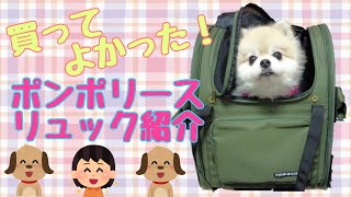 買って良かった！犬猫用キャリーバックの紹介です【ポメラニアン】【リュック　購入品紹介】