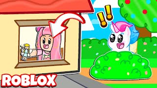 Meganplays Roblox Adopt Me Roleplay With Honey The Unicorn Nghenhachay Net - megan plays roblox adopt me roleplay