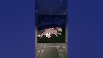 Graystripe and Silverstream | ~ high with my lover ~ // Warrior Cats Edit #warriorcats