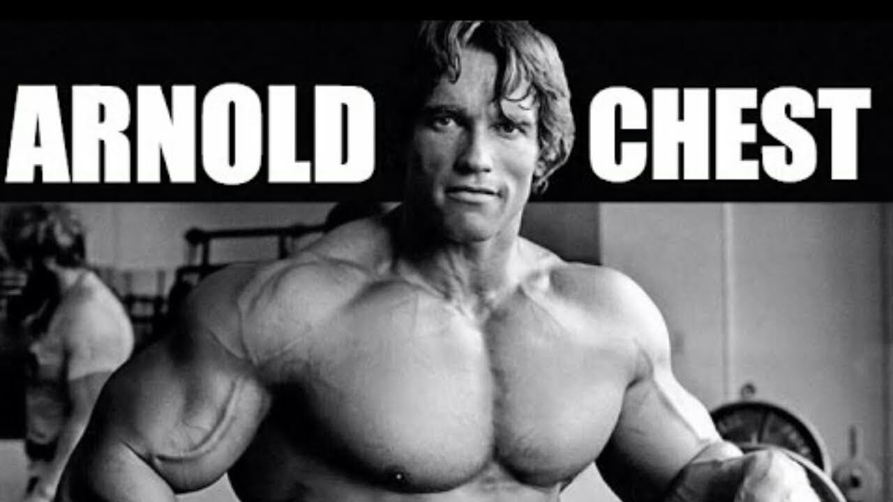  Arnold Schwarzenegger Chest And Back Workout Routine for Fat Body