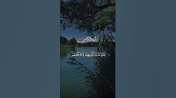 سورة البقرة/255 {اللَّهُ لَا إِلَهَ إِلَّا هُوَ{#احمد_العجمي #quran #اكسبلور #fyp #reels #viral