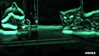 CAT😻😻😻.  #Noizz screenshot 4