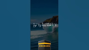 #تلاوة_خاشعة #اكسبلور #المصحف #دويتو #القرآن_الكريم #لايك #القزابري #تيك_توك #الرحمن #قرآن