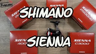 SHIMANO SIENNA - ECONOMICO E SEMPLICE