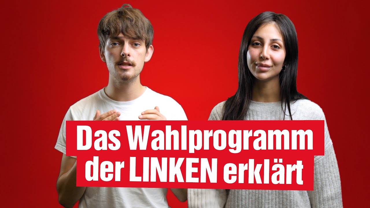 Das Wesentliche. Wahlspot der Berliner LINKEN