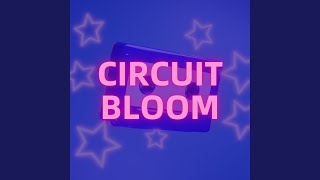 Echo Chamber Bloom