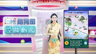 第298期 --【澳门跑狗图】潘金莲来给你解图啦!稳中特码不再是梦!🔥 🔥#新澳门六合彩 #澳门六合彩 #香港六合彩 #六合彩 #跑狗图 #六合图纸视频解料 #潘金莲 #澳门 #香港 #经典解图