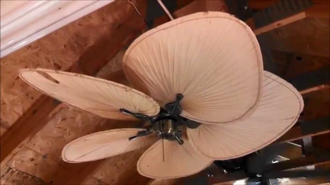 Fanimation Islander Ceiling Fan model FP320AB1 with (5) palm leaf ... - Fanimation Islander Ceiling Fan model FP320AB1 with (5) palm leaf blades  (FULL) - YouTube