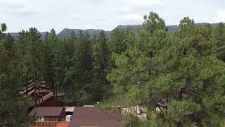 Creekside Cabins Tavern Tours
