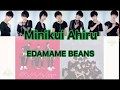 EDAMAME BEANS 「Minikui Ahiru」歌詞付き