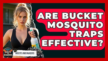 Are Bucket Mosquito Traps Effective? - Insects and Invaders