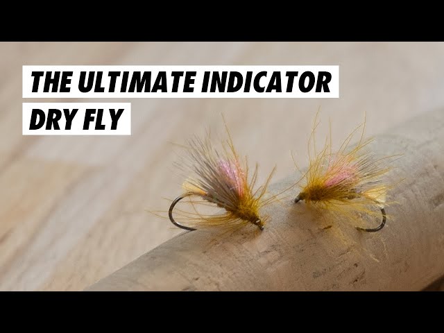 The Ultimate Dry Dropper Indicator Caddis DRY FLY Pattern // Fly tying  tutorial 