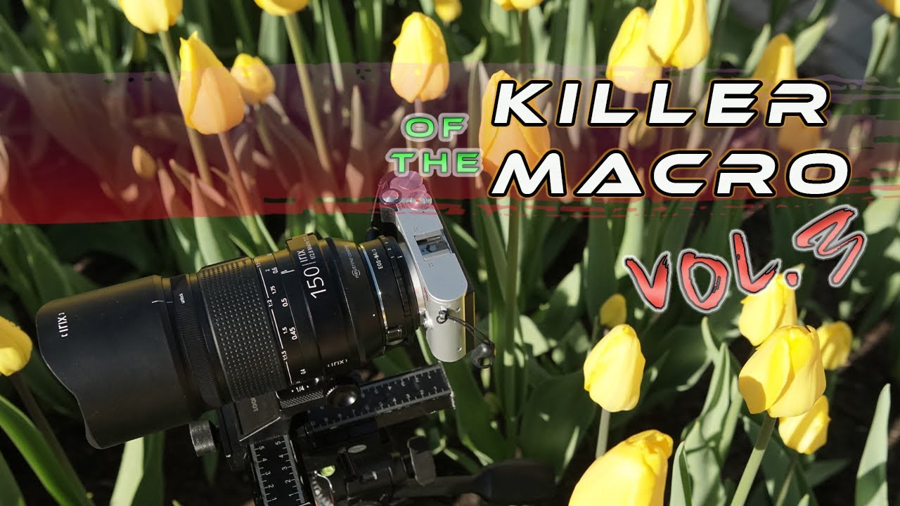 Springtime Macro Photography Why Macro Is So Exciting YouTube