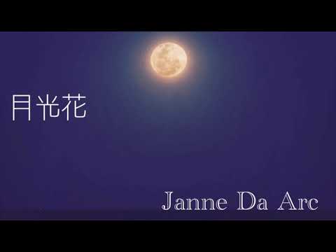 月光花/Janne Da Arc (cover KYO)
