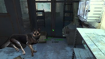 Fallout 4 Glitch:  Use Dogmeat To Get Cryolator Early