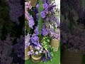 Purple Flowers #travel #flowers #purple #life #shorts