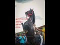 Anthiyur Gurunathaswamy Temple Festival 2018 |India&#39;s Biggest Horse and Cattle Market|Part 1