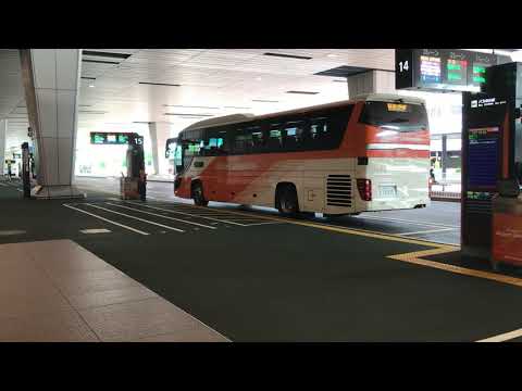 成田空港　リムジンバスの現状