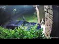 Pelham police warn residents after car break-ins
