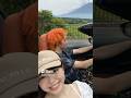 X(Twitter)でバズったツイートが最高すぎた【東海オンエア】 #てつや
