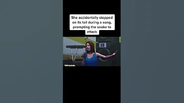 Worst Animal Attacks On Humans 