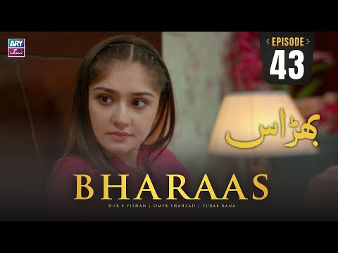 Bharaas Episode 43