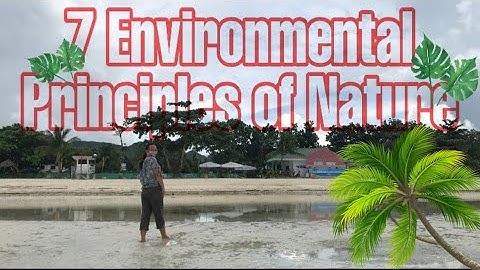 7 Environmental Principles of Nature