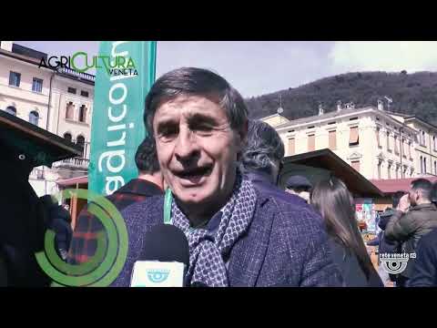 AGRICULTURA VENETA | 16/03/2024