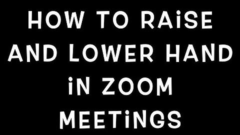 Zoom Meeting Raise and Lower Hand