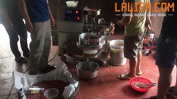 Ép dầu lạc bằng máy KD03 dầu vàng như mật ong