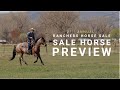 2021 Ranchers Horse Sale Preview