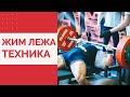 ЖИМ ЛЕЖА ТЕХНИКА | Жим Лежа без Экипировки | Спортивная Адаптология