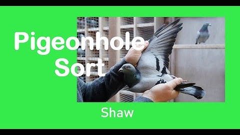 Data Structure :  Pigeonhole Sort #datastructures #sortingalgorithm