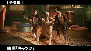 ジェニファー・ハドソン、テイラー・スウィフト、ジュディ・デンチら豪華キャストが共演！世界中で愛され続けるミュージカルの金字塔「キャッツ」を映画化。