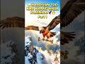 😱 Haddiyan Khane Wala Anokha Parinda! 🦅 part 1 | #BeardedVulture #Lammergeier #BirdFacts #shorts