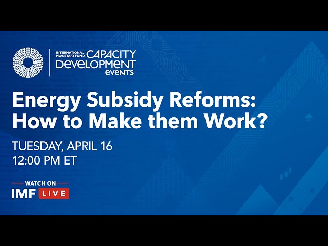 Energy Subsidy Reforms: How to Make them Work? | CD Talk