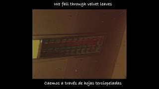 Video thumbnail of "Puma Blue - Velvet Leaves (𝐋𝐲𝐫𝐢𝐜𝐬/ 𝐒𝐮𝐛𝐭í𝐭𝐮𝐥𝐨𝐬 𝐄𝐬𝐩.)"